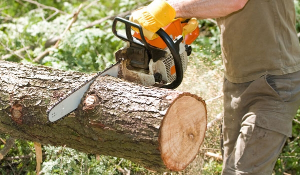 Как сделать своими руками дорожку из спилов дерева или пиломатериалов